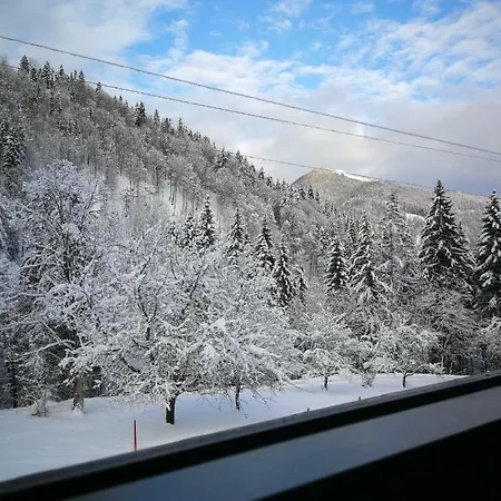 Appartement's Staffnerhof Apartman