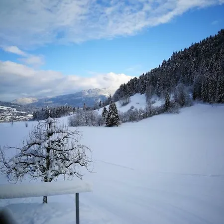 Appartement's Staffnerhof * Kössen