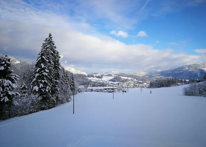 Appartement's Staffnerhof * Kössen