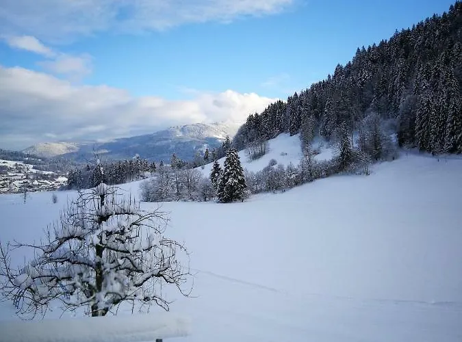 Appartement's Staffnerhof * Kössen